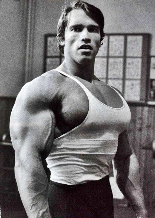 Photo:  Arnold Schwarzenegger 07